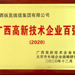 縱覽線纜集團(tuán)入選“2020年廣西高新技術(shù)企業(yè)百強(qiáng)”榜單